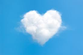 소비쿠폰온라인카드사별신청36