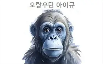오랑우탄 아이큐