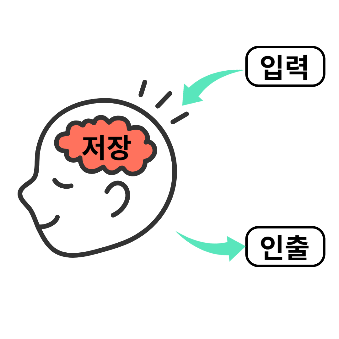 기억력과 감정의 관계: 왜 강렬한 감정은 오래 기억될까?