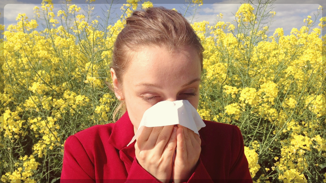 알레르기 콧물 비염