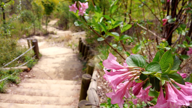 안산자락길(AnsanJarakgil)에서 만나자