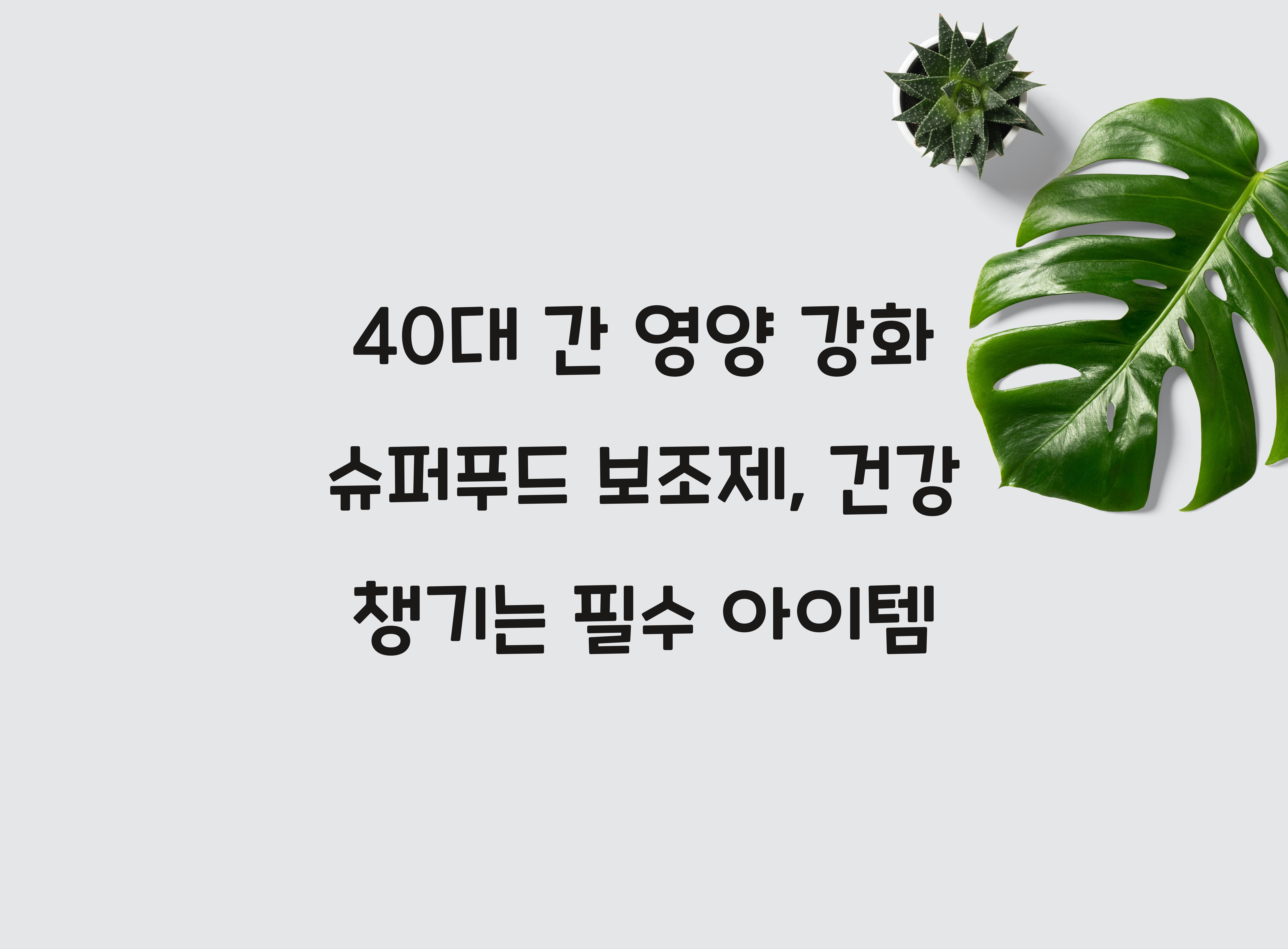 40대 간 영양 강화 슈퍼푸드 보조제