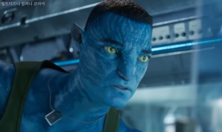 아바타 불과 재