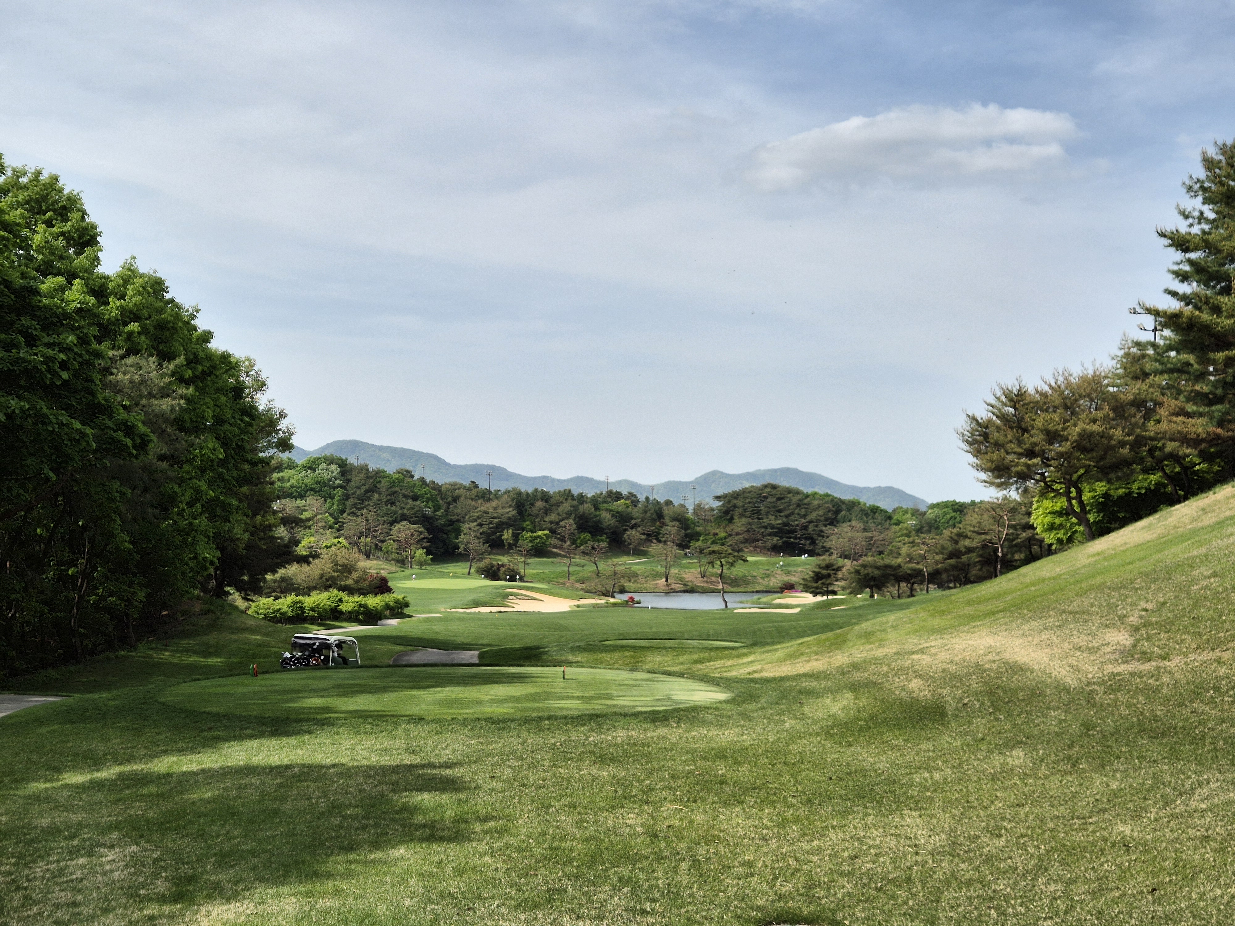 베어크리크cc 크리크코스