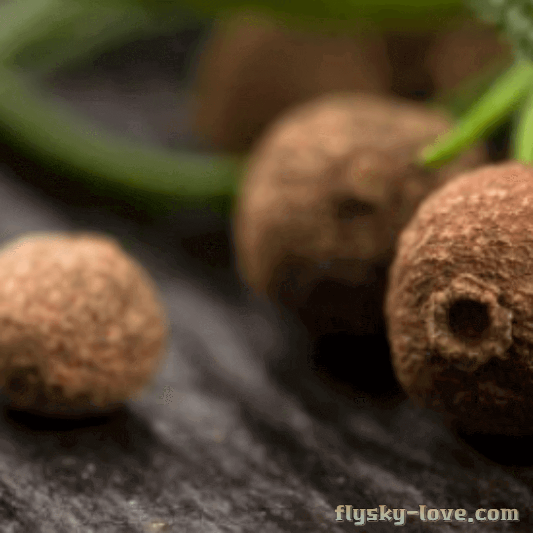 올스파이스 먹는 방법