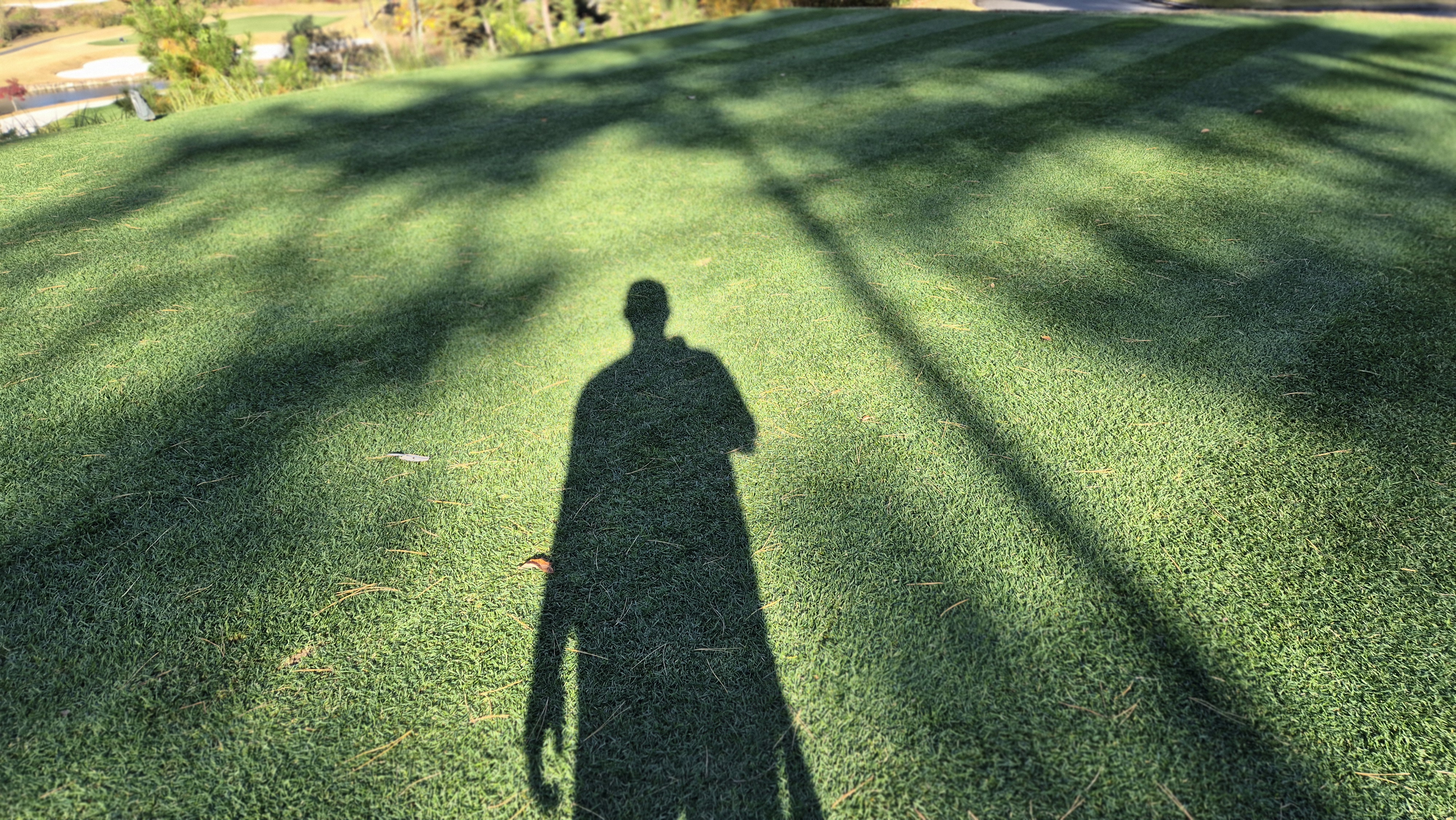 레이캐슬cc 티잉구역 상태