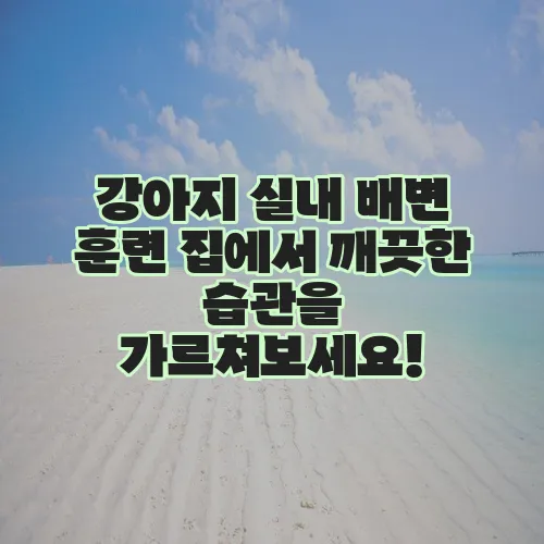 강아지 실내 배변 훈련 집에서 깨끗한 습관을 가르쳐보세요!