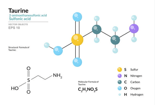 [타우린 효능 부작용] 피로회복과 간 건강에 좋은 타우린