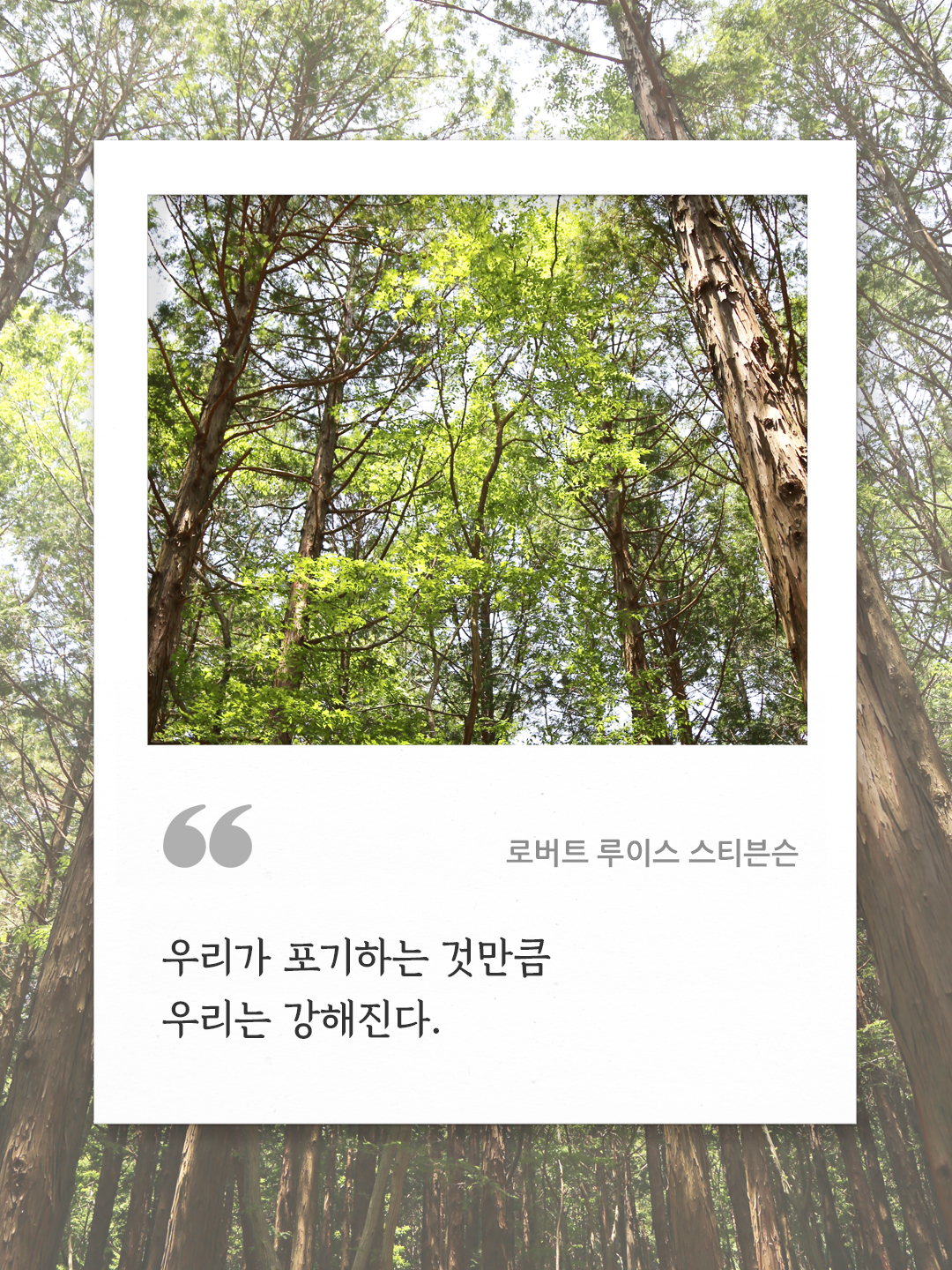 우리가 포기하는 것만큼 우리는 강해진다 (로버트 루이스 스티븐슨).