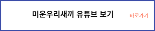 미운우리새끼 유튜브