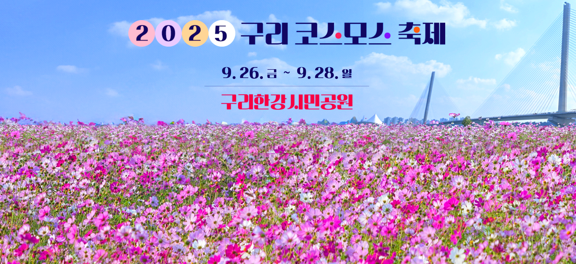 구리 코스모스축제