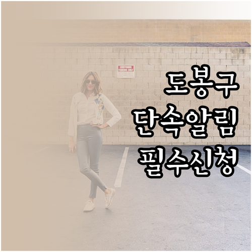 도봉구 주정차 단속 문자 알림 서비스..