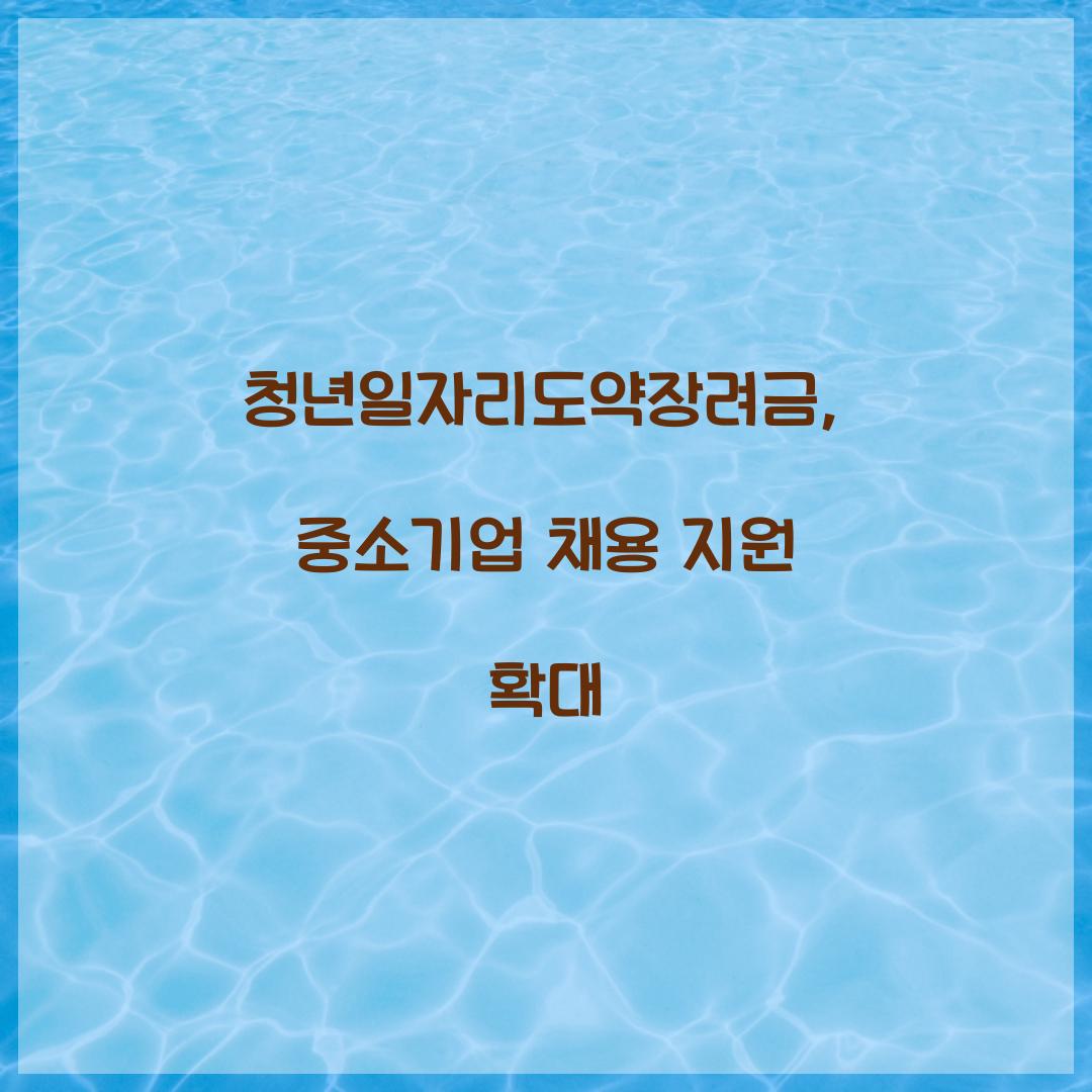 청년일자리도약장려금