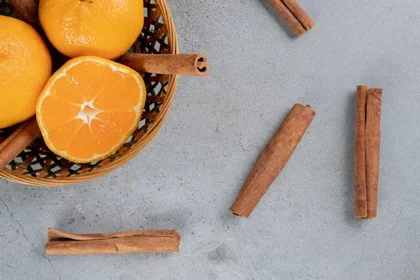 계피의 기본적인 특징과 활용 개요2