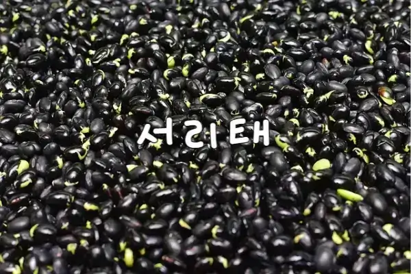 당뇨에 좋은 음식