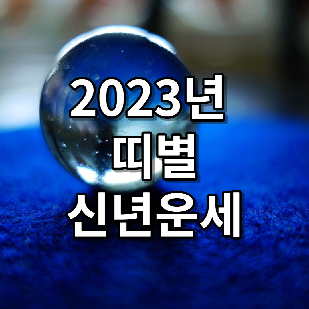 2023년 신년운세