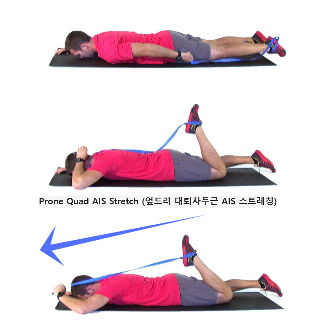 엎드려 하는 능동-고립 스트레칭 (Prone Quad AIS Stretch)