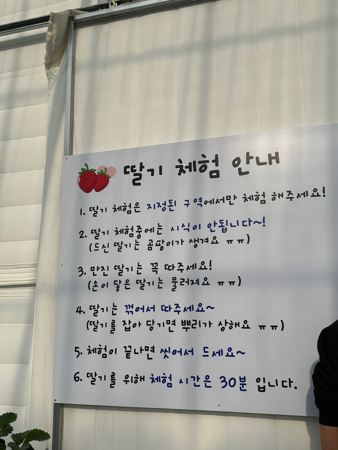 딸기체험 이용 방법 안내