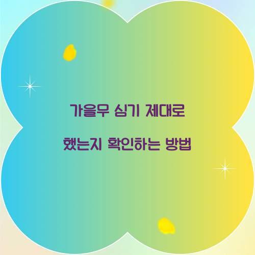 가을무 심기 제대로 했는지 확인하는 방법