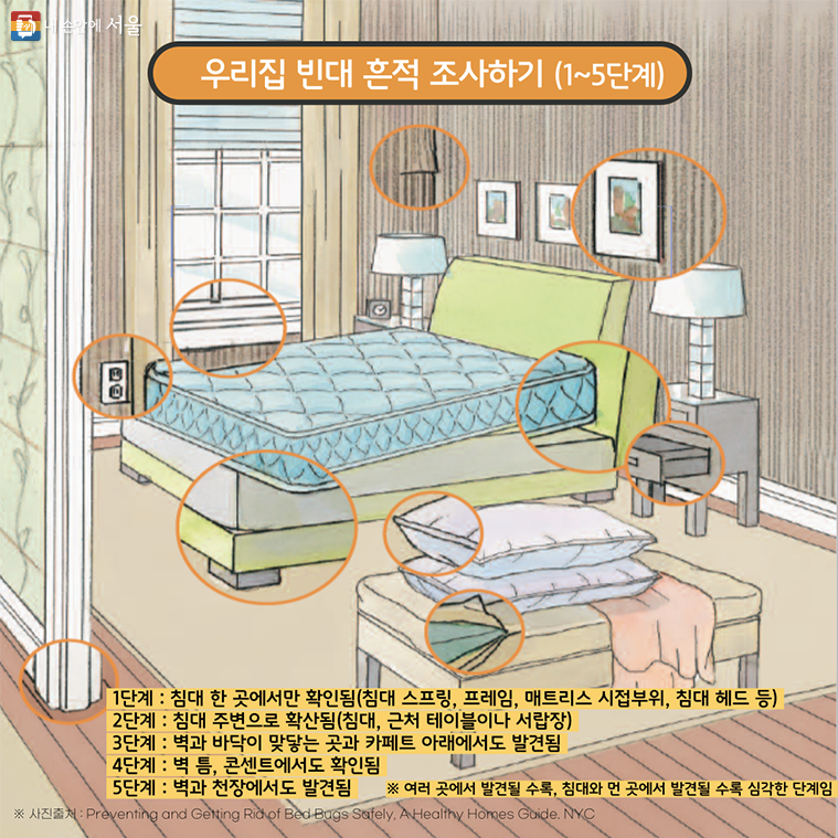 빈대3
