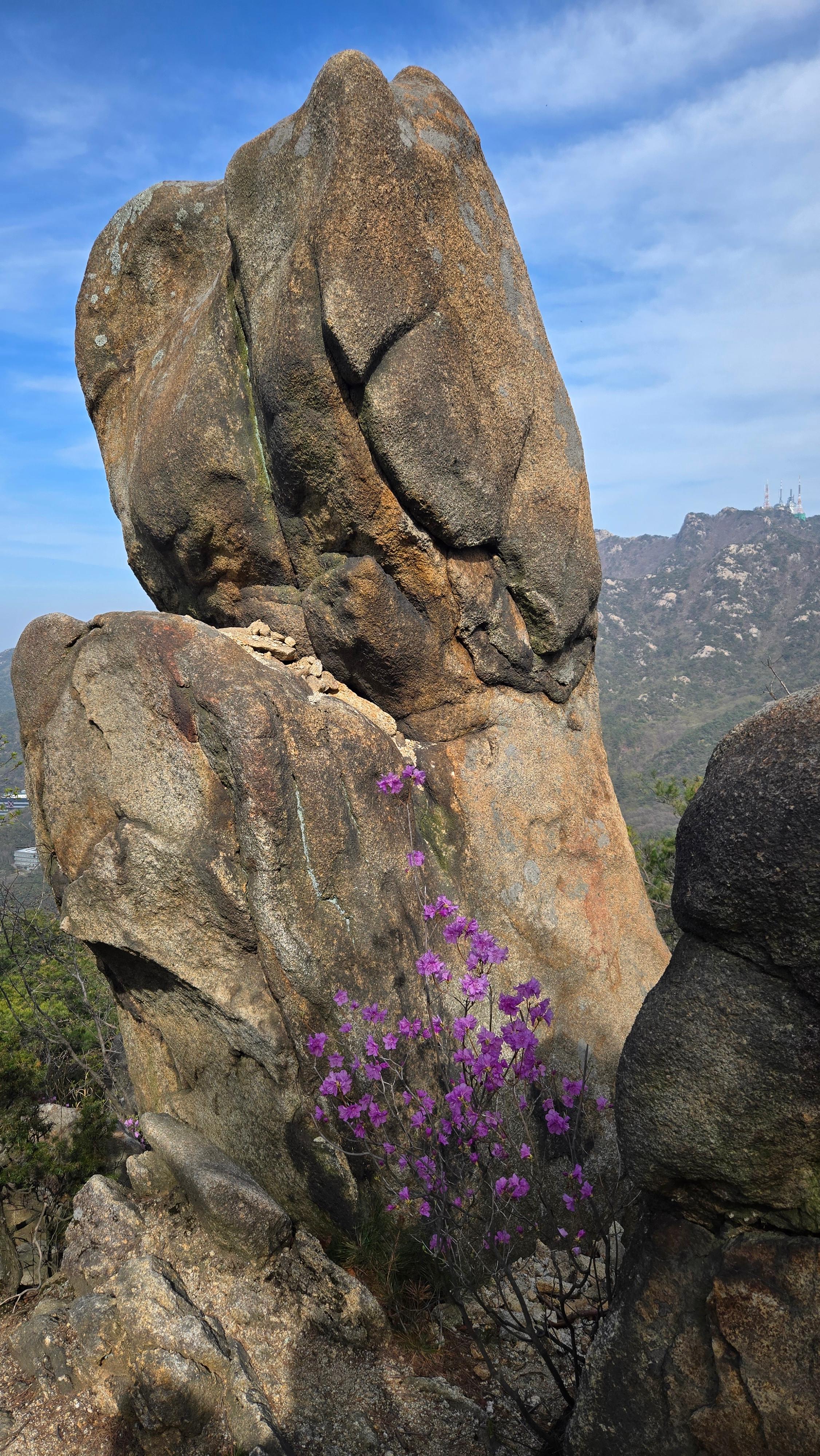 서울대입구 출발 코스
