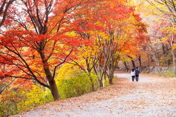 가을 단풍 명소