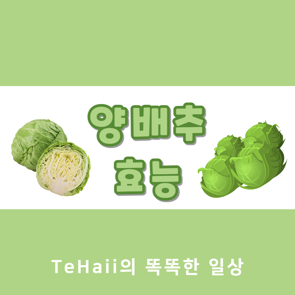 양배추 효능 대표