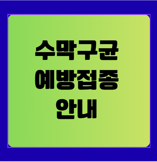 수막구균 예방접종, 왜 꼭 맞아야 할까?(생후 2개월 이상 꼭 접종하세요!)
