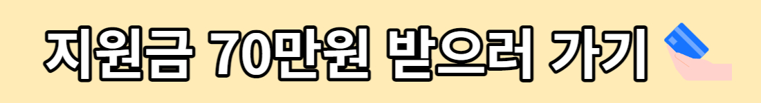 서울시 임산부 교통비 지원사업