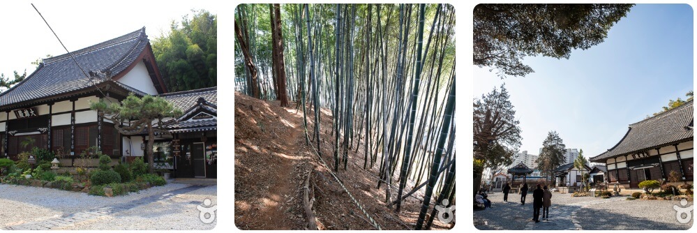 2024-숙박-세일-페스타-정부-숙박-할인-쿠폰-사전-예약-하기 