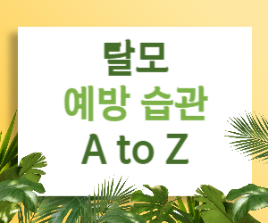 탈모, 습관만 바꿔도 막을 수 있다! 탈모 예방 습관 A to Z