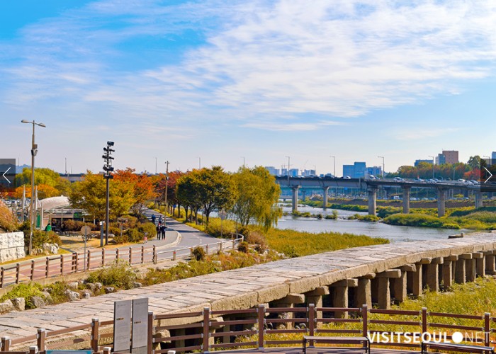 서울 단풍 명소 베스트 6