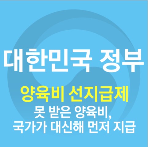 양육비 선지급금 
