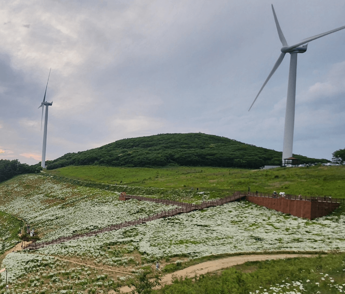 육백마지기 전경