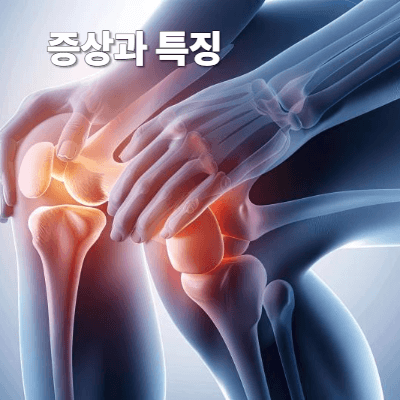 증상과 특징