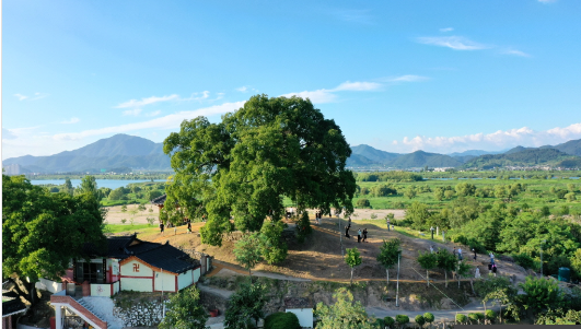 진해군항제 2024 일정 맛집 주차장 숨겨진 벚꽃 명소 (주요 관광지)