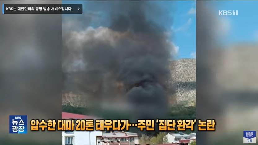 대마초 소각으로 인한 주민 건강