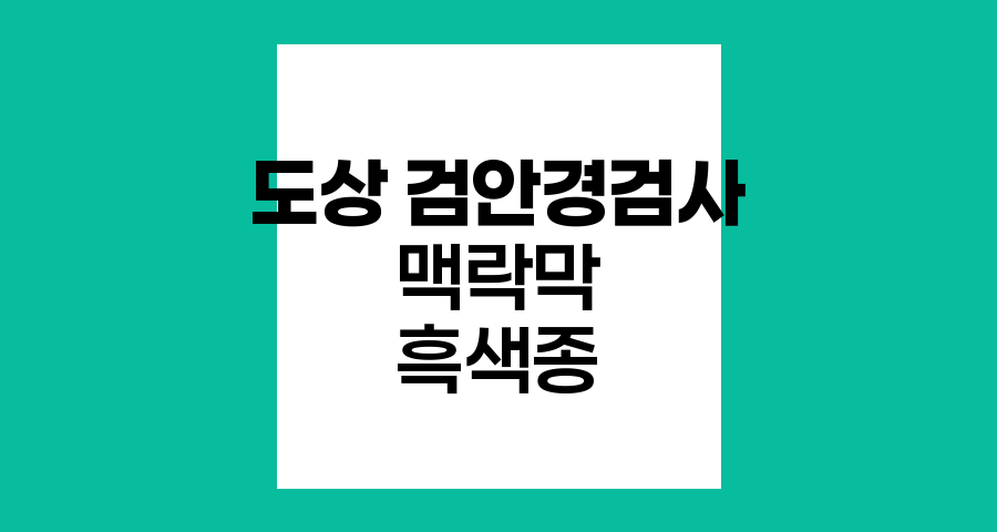 맥락막 흑색종 진단 도상 검안경검사 이해하기