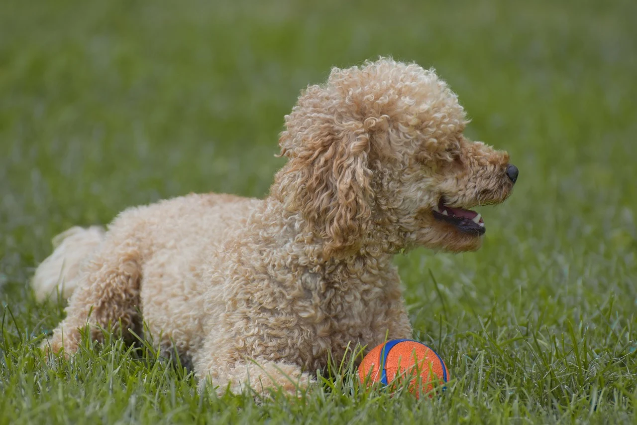 주말 8시 울고 웃다&mdash;화려한 날들 인물&middot;줄거리 가이드