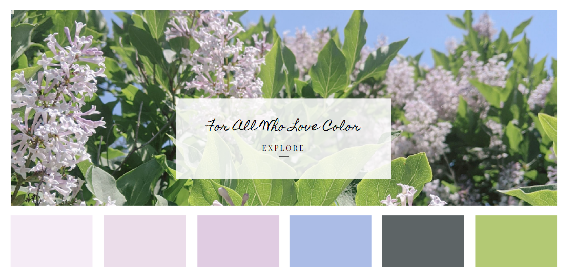 색 조합 사이트15