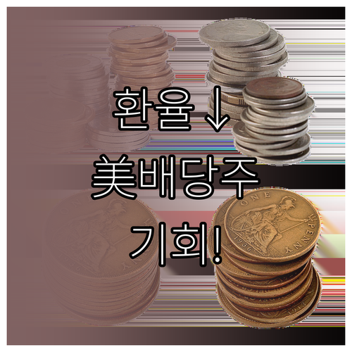 미국 배당주 환율 하락 때 오히려 기..