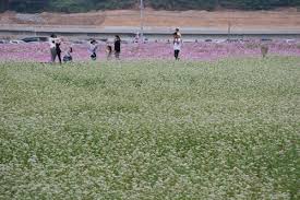 9월 가볼만한 곳 베스트