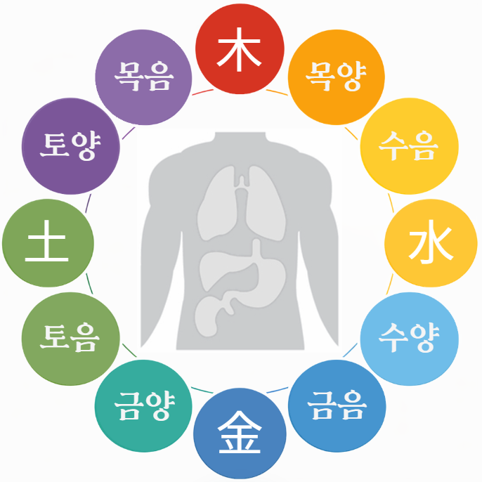 5장5부에 강약에 따른 8체질