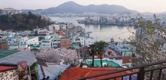 통영 동피랑 벽화마을 관람 팁과 인생샷 포인트 소개_7