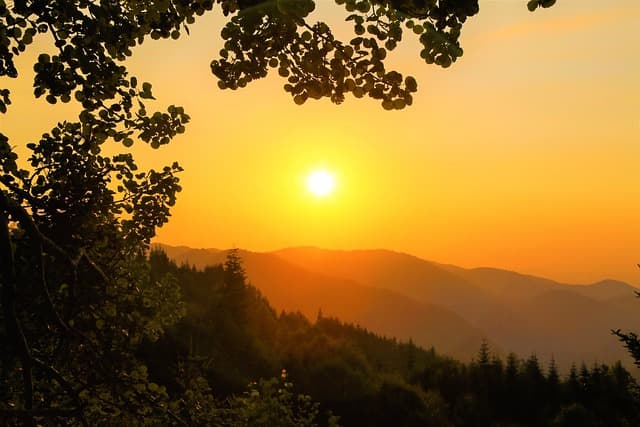 도시 농업과 기후 변화