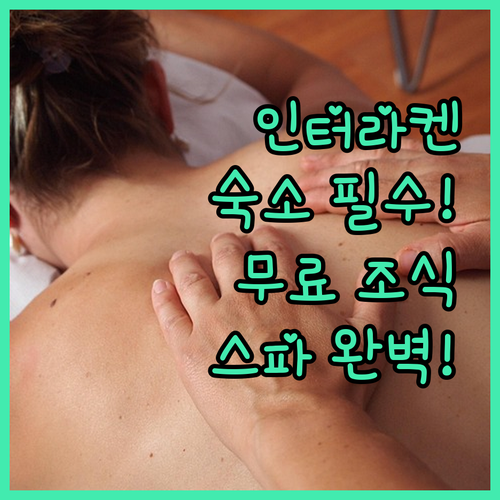 인터라켄 호텔 5곳 무료 조식부터 스..