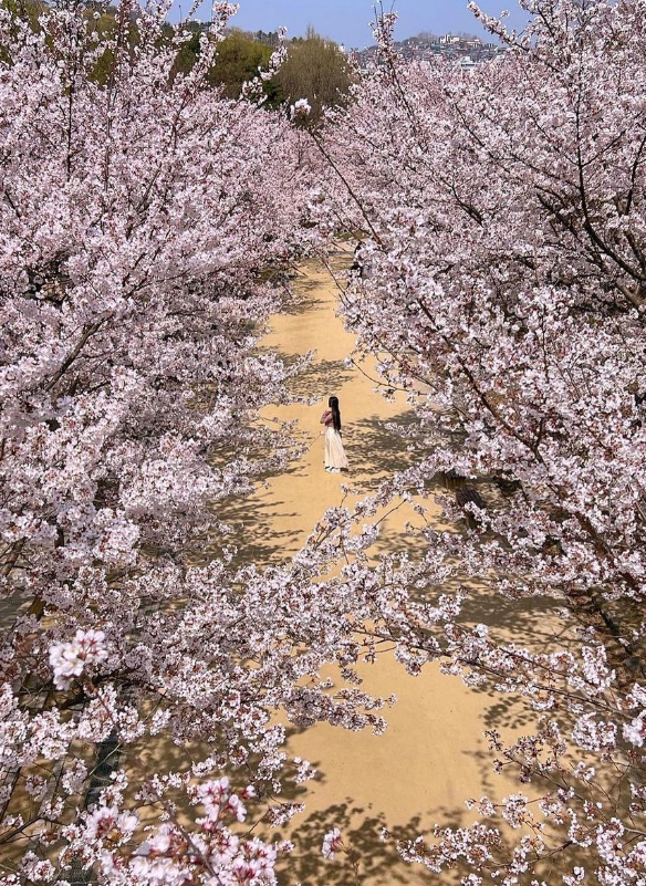 연애 초반 데이트 코스 서울숲1