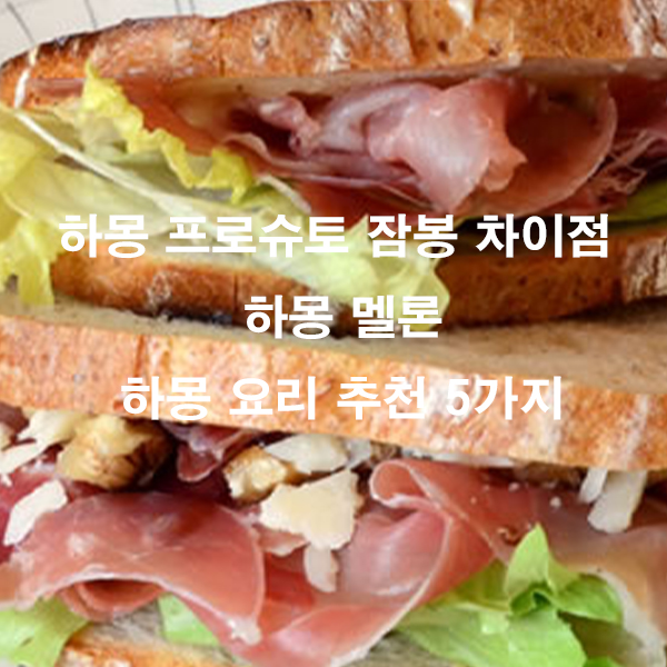 하몽 프로슈토 잠봉 차이점 하몽 멜론 하몽 요리 추천 5가지