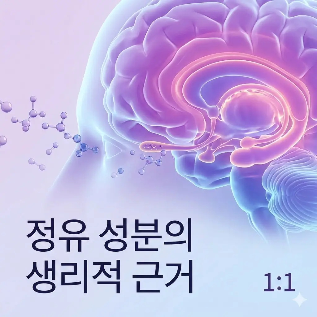 정유 성분이 감정 반응 폭을 줄이는 생리적 근거