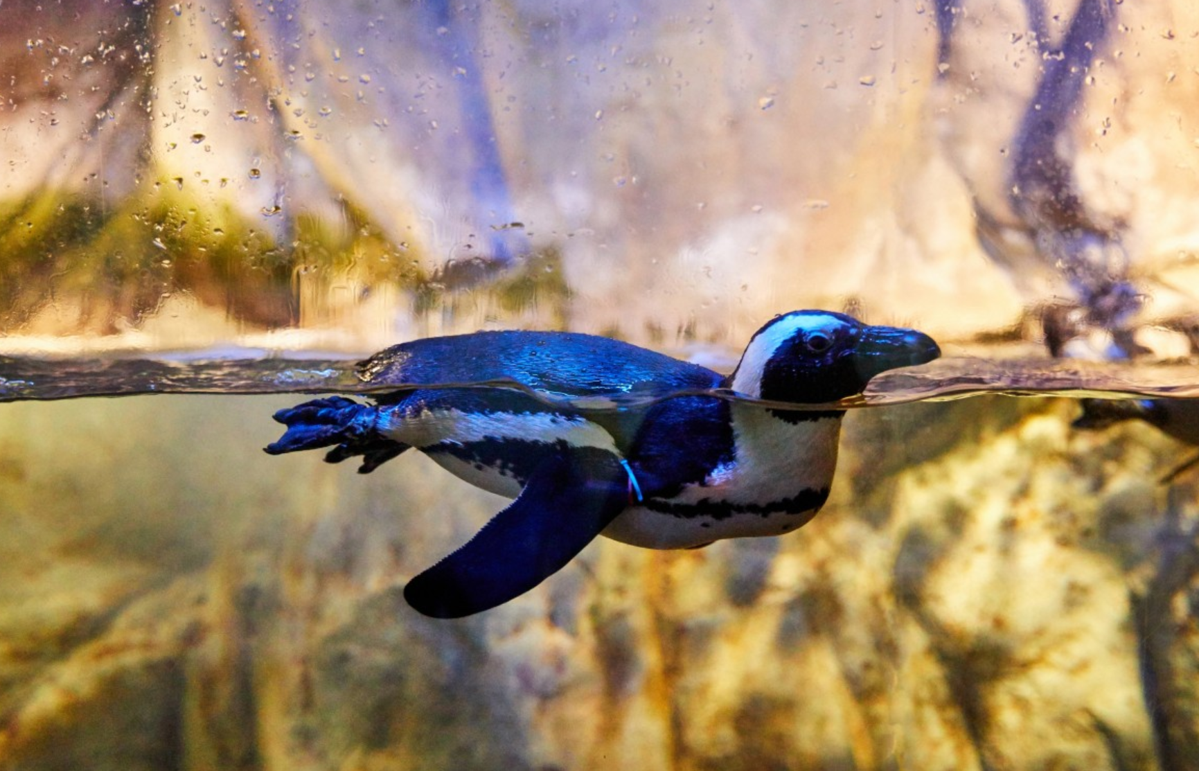 부산 씨라이프 아쿠아리움